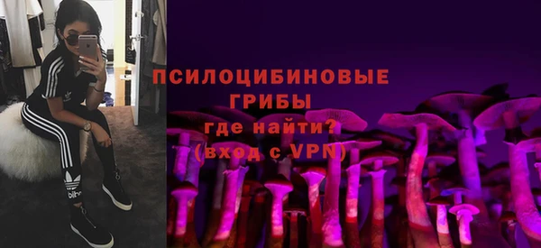 прущий лед Алзамай