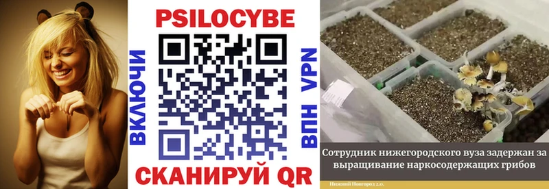 Галлюциногенные грибы мицелий  МЕГА ТОР  Малмыж 