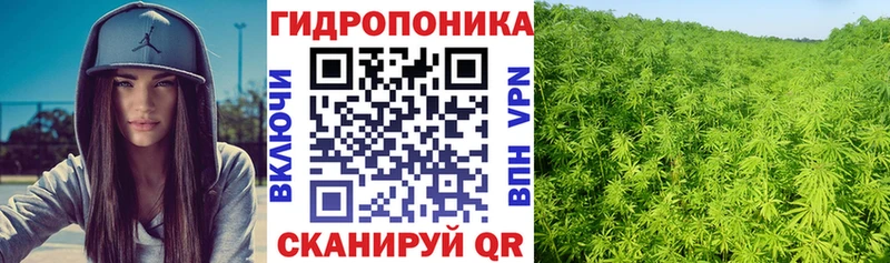 Шишки марихуана конопля Малмыж